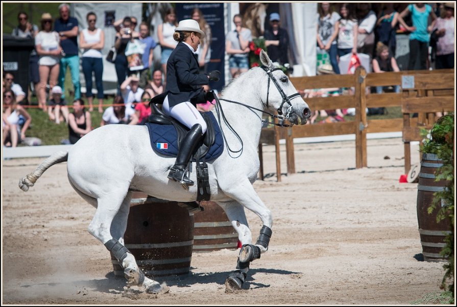 Pferd International 161